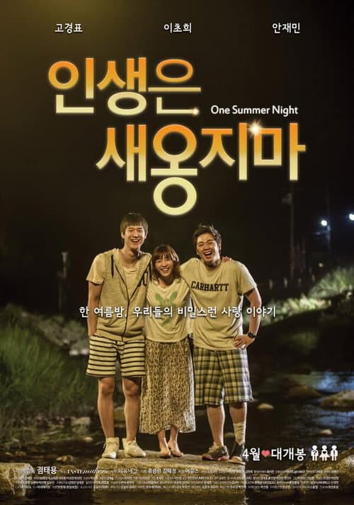 Plakat: One Summer Night