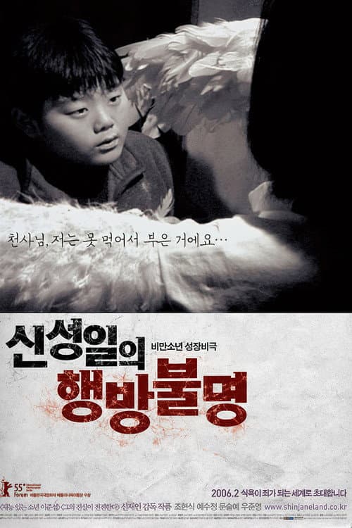 Plakat: The Forgotten Child : Shin Sung-Il Is Lost