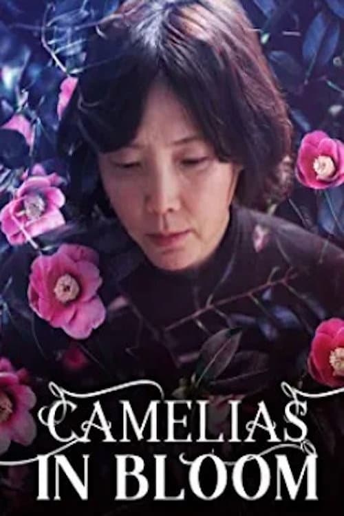 Plakat: Camellias in Bloom