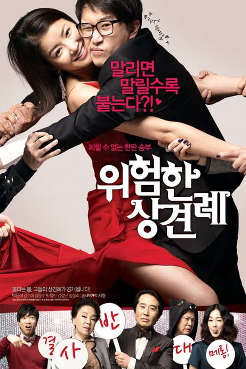Plakat: Meet the In-Laws
