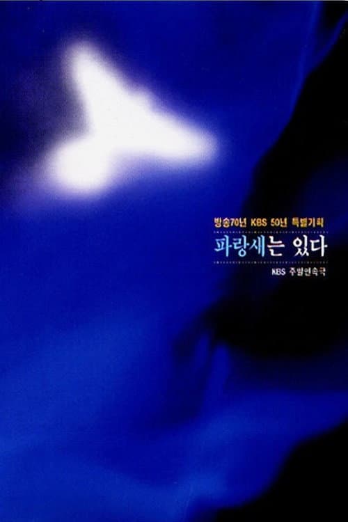 Plakat: 파랑새는 있다