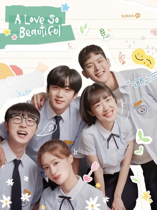 Plakat: A Love So Beautiful