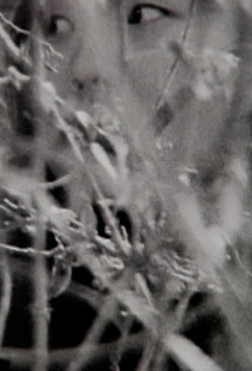 Plakat: Visible Cinema