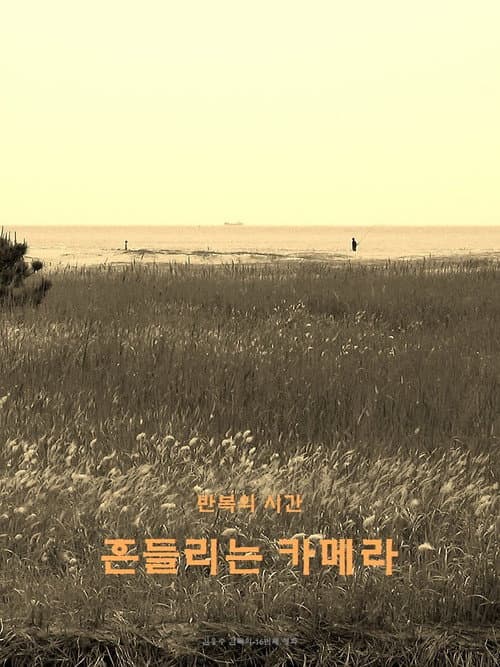 Plakat: wandering camera