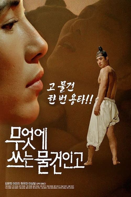 Plakat: I Will Survive