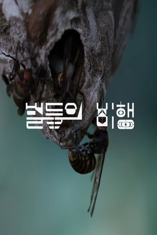 Plakat: Hive