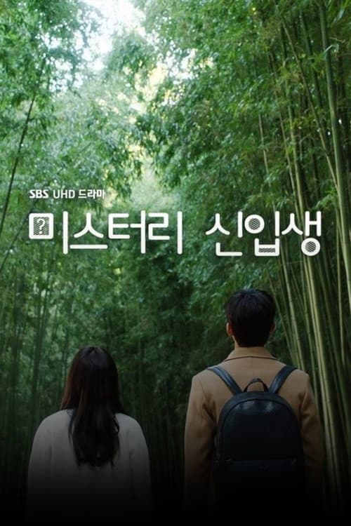 Plakat: Mystery Freshman