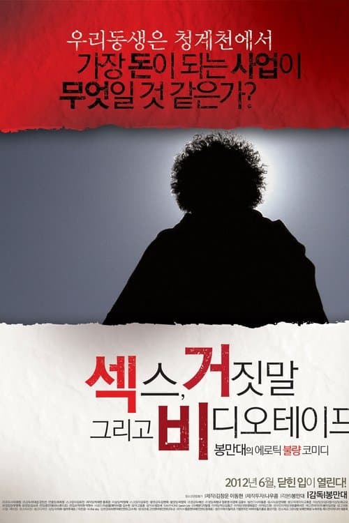 Plakat: Sex, Lies and Videotape