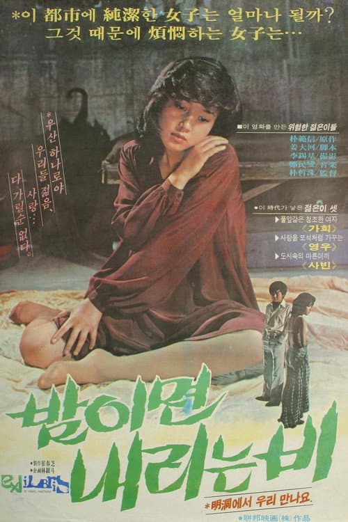 Plakat: The Rain at Night