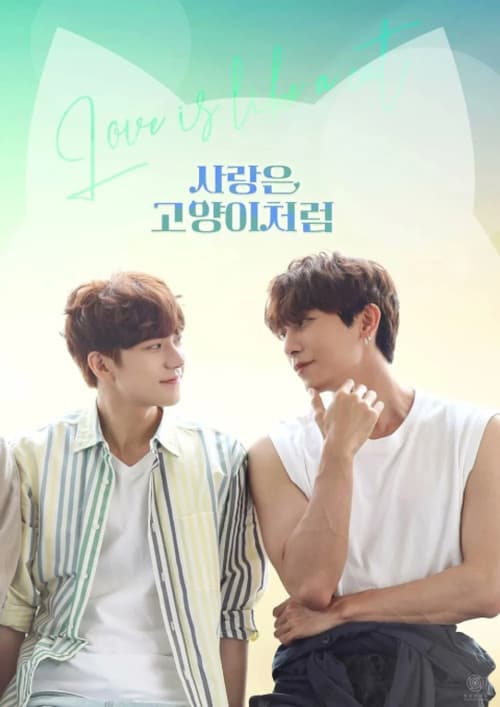 Plakat: Love Is Like A Cat
