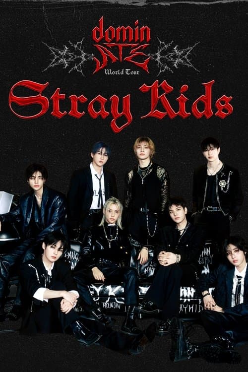 Plakat: Beyond Live — Stray Kids World Tour dominATE in SEOUL