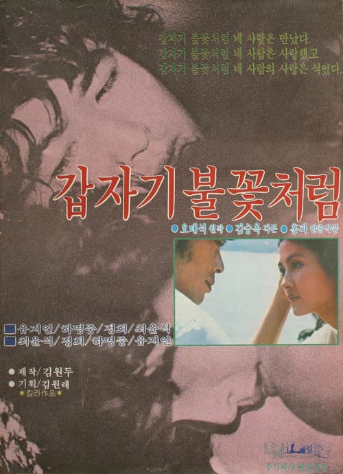 Plakat: Sudden Flame
