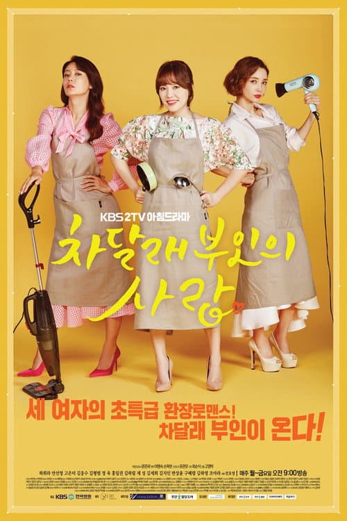 Plakat: Lady Cha Dal-Rae's Lover