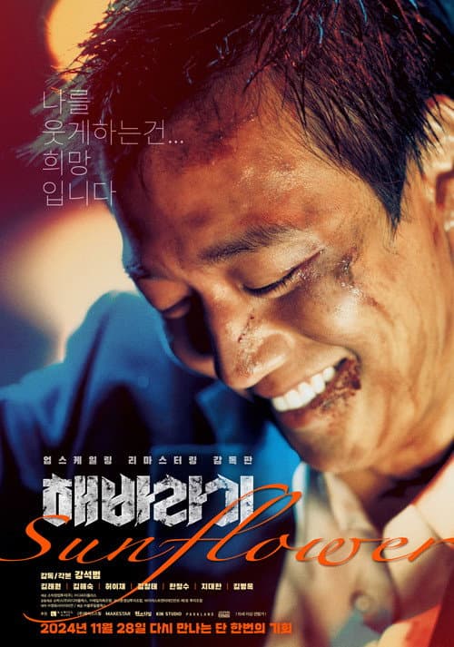 Plakat: Sunflower