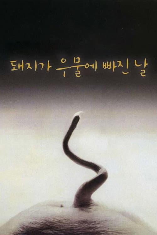 Plakat: Dzień, w którym świnia wpadła do studni