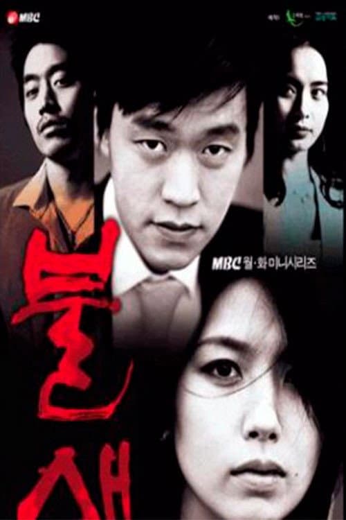 Plakat: Phoenix