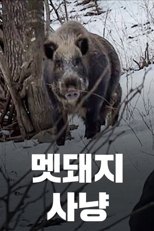 Plakat: Wild Boar Hunting