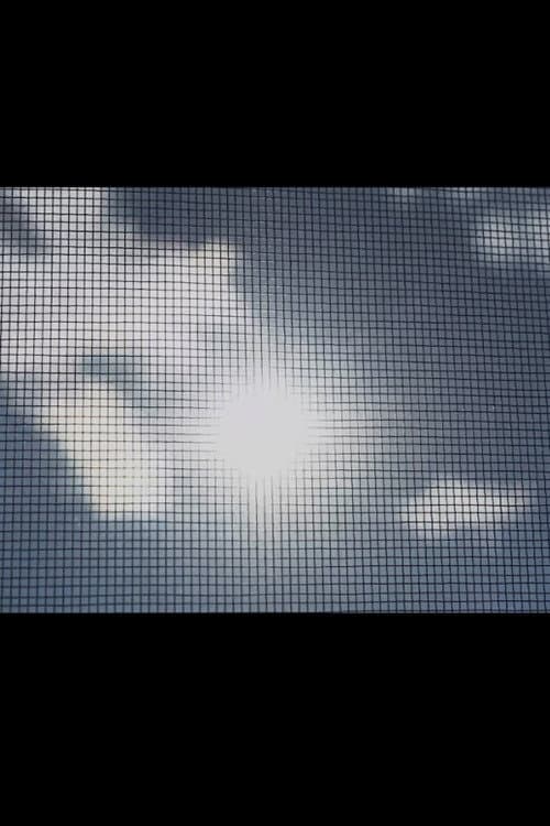 Plakat: A Study In Meshes