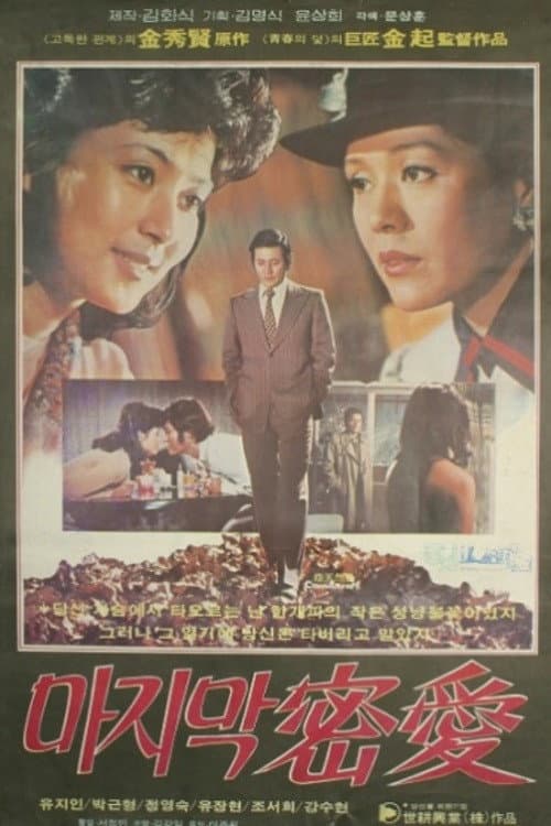 Plakat: The Last Secret Love