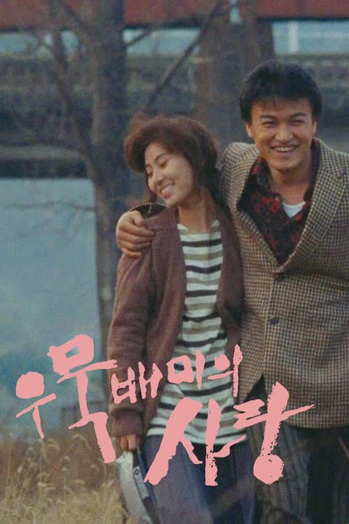 Plakat: A Short Love Affair