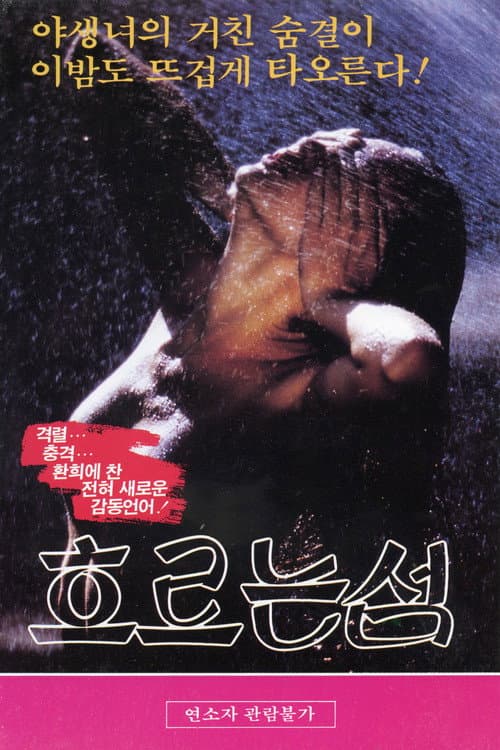 Plakat: 흐르는 섬
