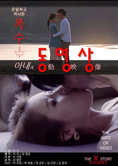 Plakat: Wife's Videos