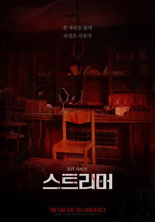 Plakat: Streamer