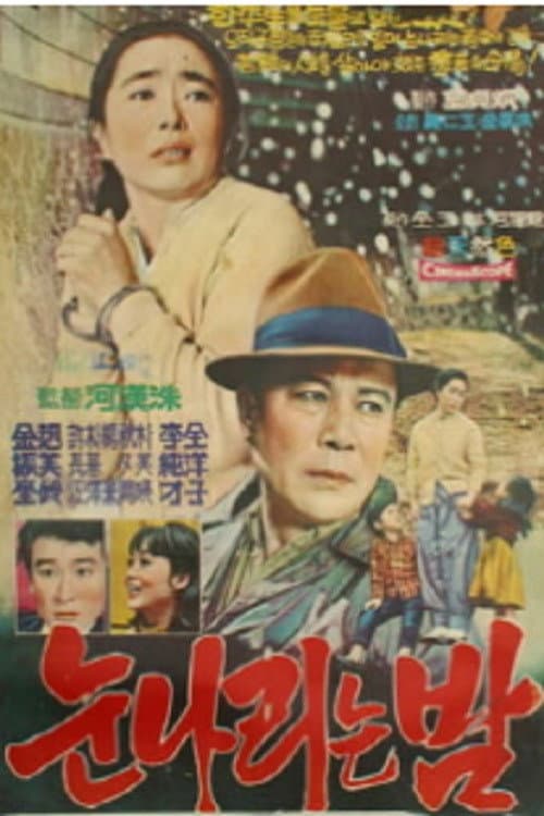 Plakat: The Snow Falling Night