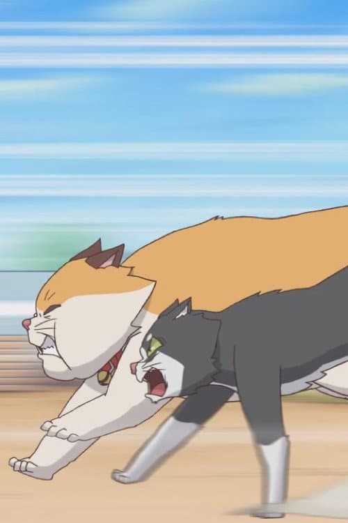 Plakat: Cats Run