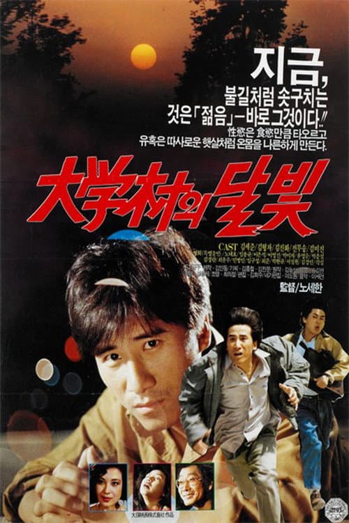 Plakat: Moonlight in the University Town