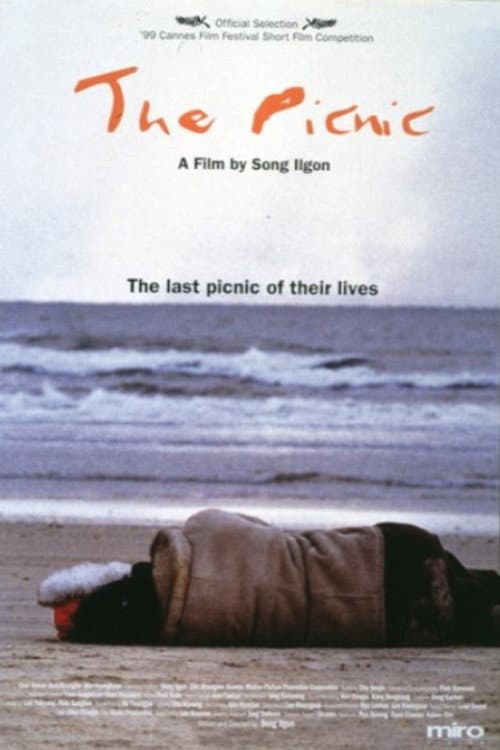 Plakat: The Picnic