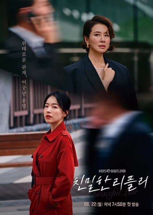 Plakat: A Graceful Liar