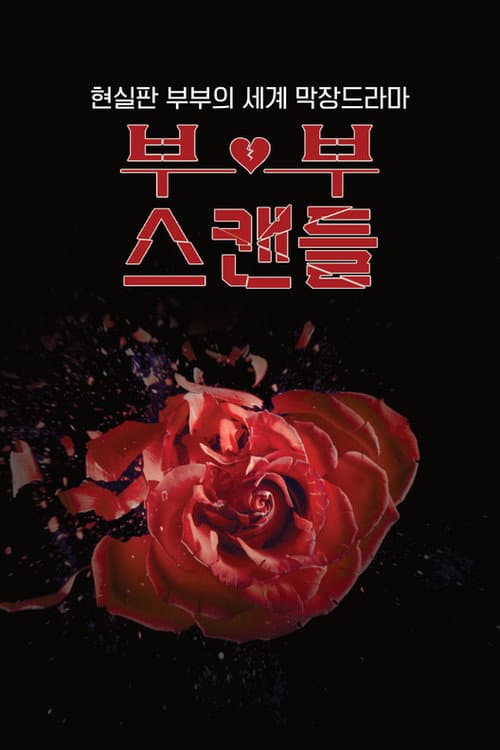 Plakat: 부부스캔들