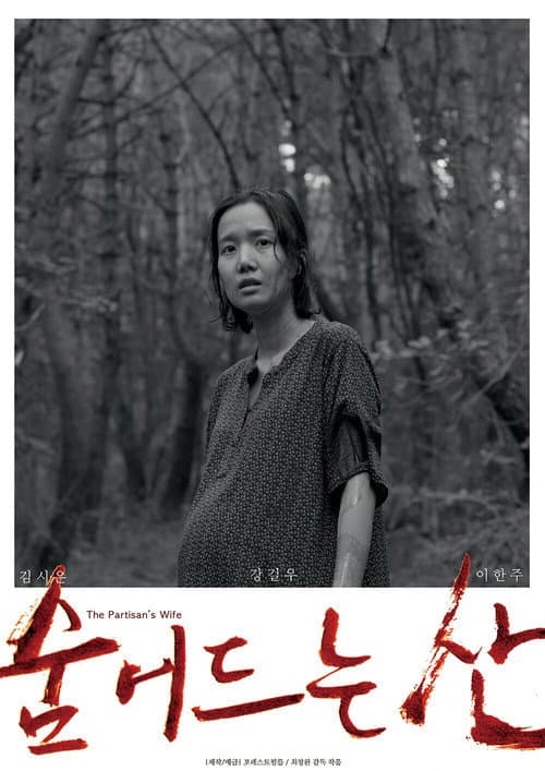 Plakat: Partisan's Wife