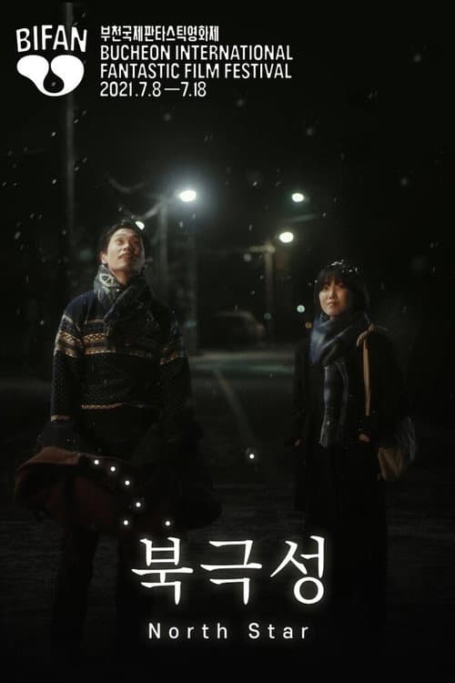 Plakat: North Star