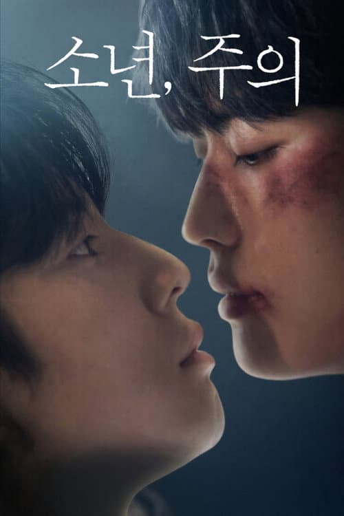 Plakat: Boy, with Caution