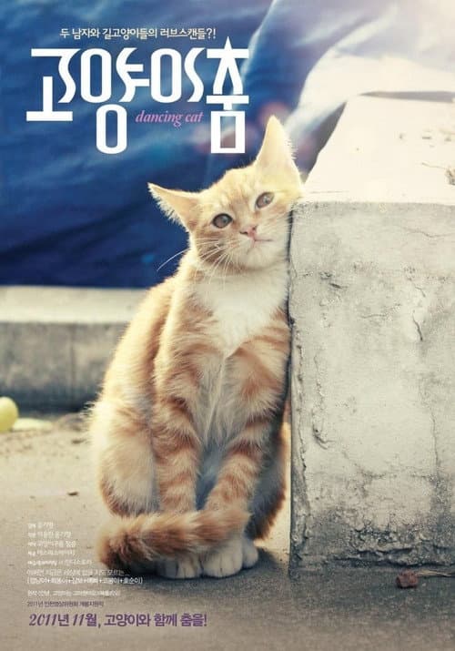 Plakat: Dancing Cat