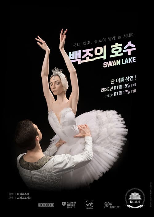 Plakat: Swan Lake
