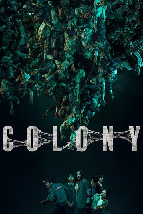 Plakat: Kolonia