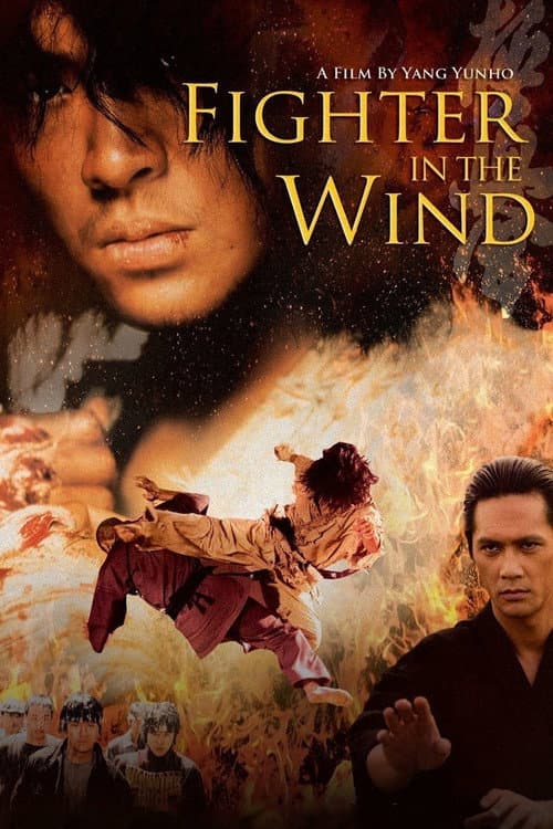 Plakat: Fighter In The Wind