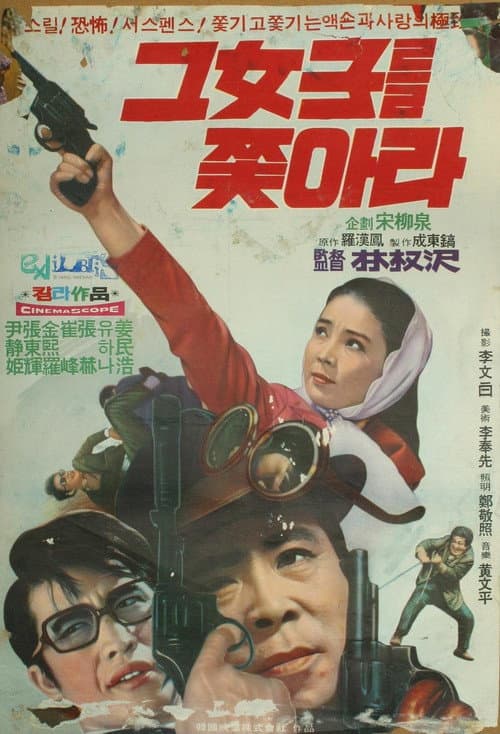 Plakat: A Woman Pursued