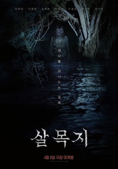Plakat: Salmokji: Whispering Water