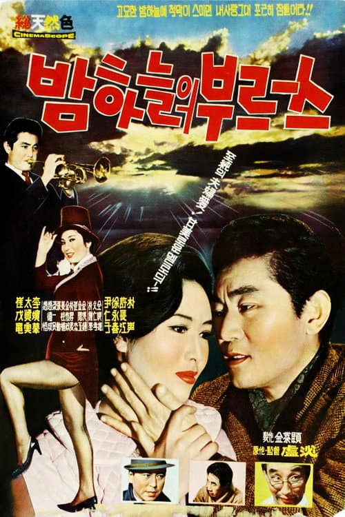 Plakat: Night Blues