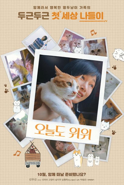 Plakat: The Journey of the 12 Cats