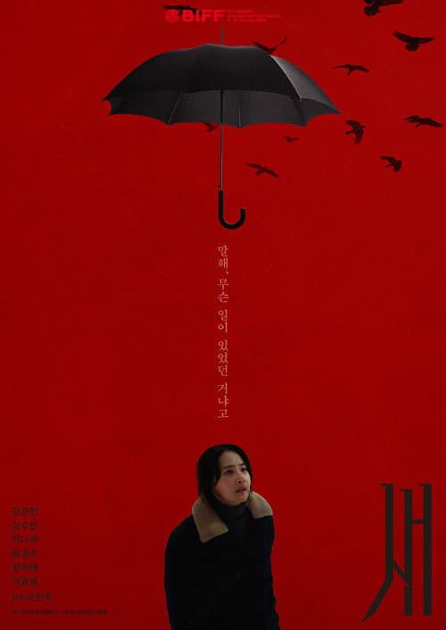 Plakat: The Birds