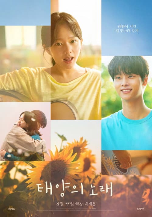 Plakat: Midnight Sun