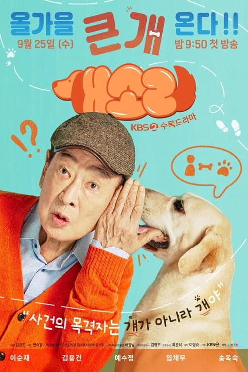 Plakat: Dog Knows Everything