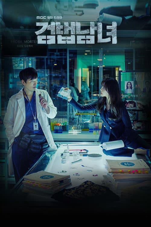 Plakat: Partners for Justice