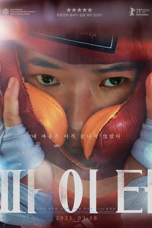 Plakat: Fighter