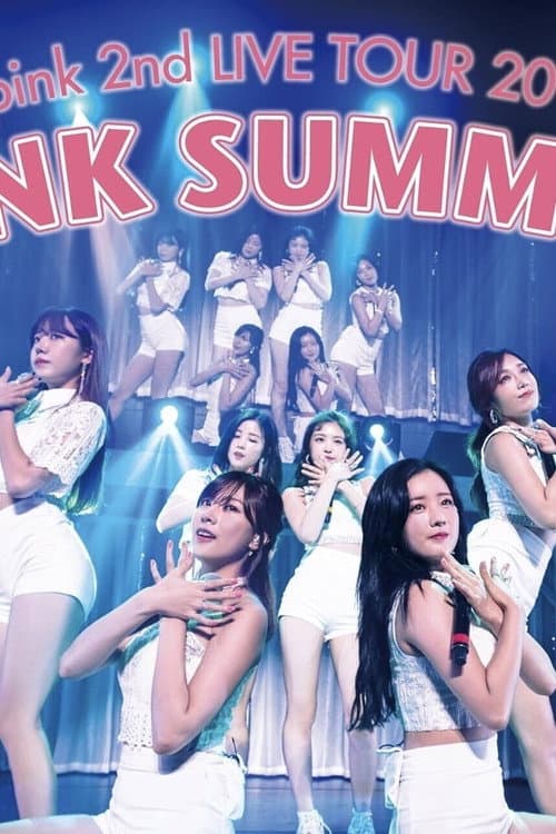 Plakat: Apink 2nd LIVE TOUR 2016 -PINK SUMMER-